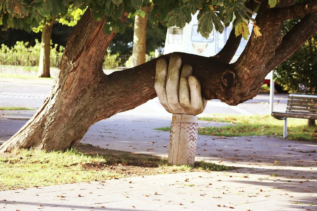 Ideas de apoyo para reducir la pobreza Voluntariado en comedores comunitarios Ideas de apoyo para reducir la pobreza Voluntariado en comedores comunitarios